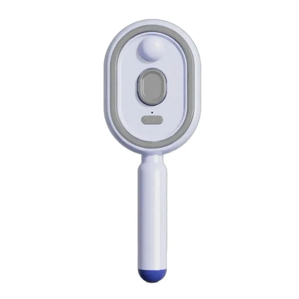 Cordless Steam Detangling Hairbrush