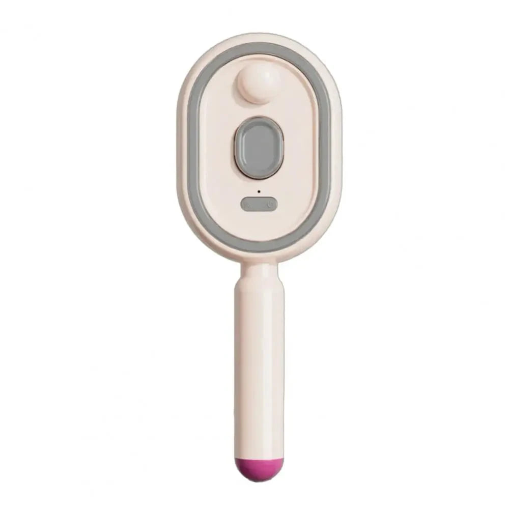 Cordless Steam Detangling Hairbrush