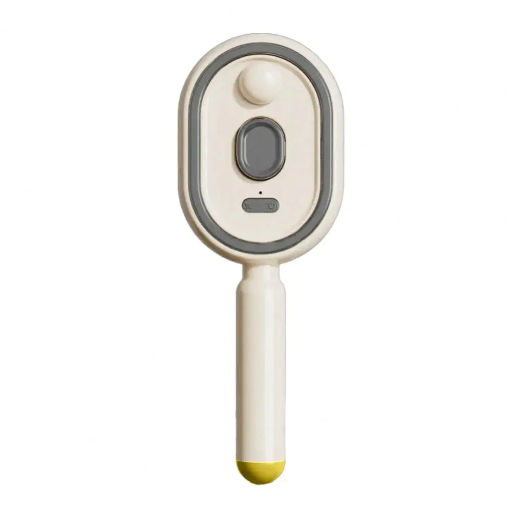 Cordless Steam Detangling Hairbrush
